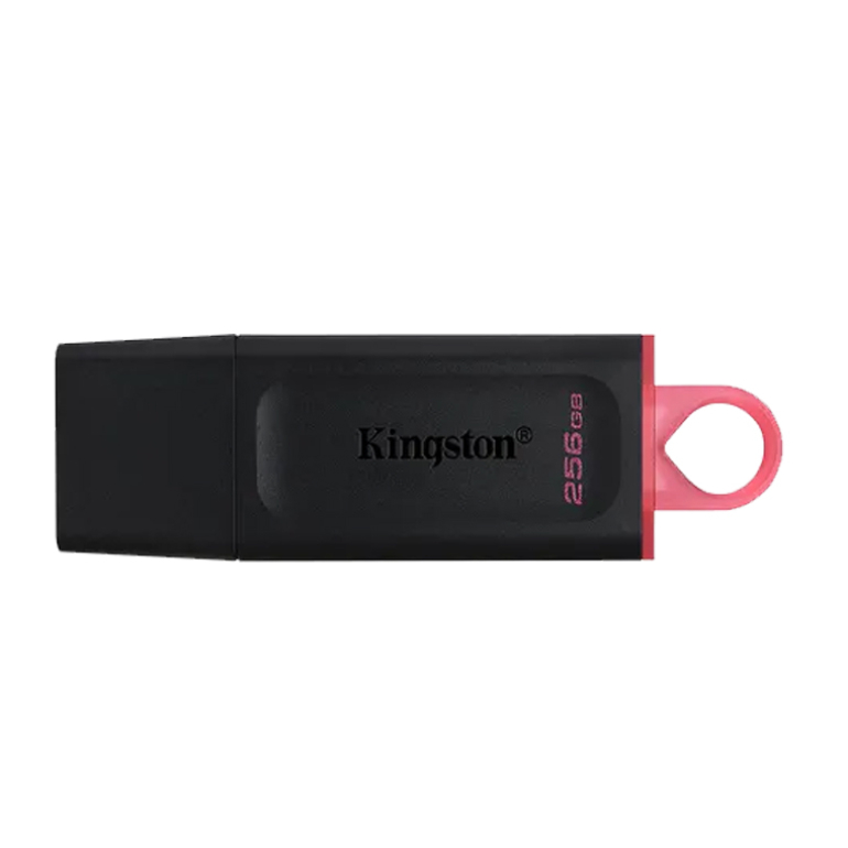 USB KINGSTON 256GB