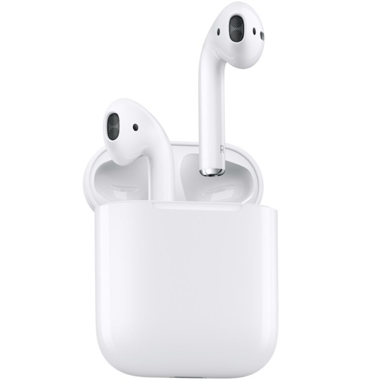 pngwing.com - 2024-10-22T172725.253